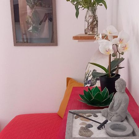 A Casa Di Sara Apartment Кастел Сан Пиетро Терме Екстериор снимка